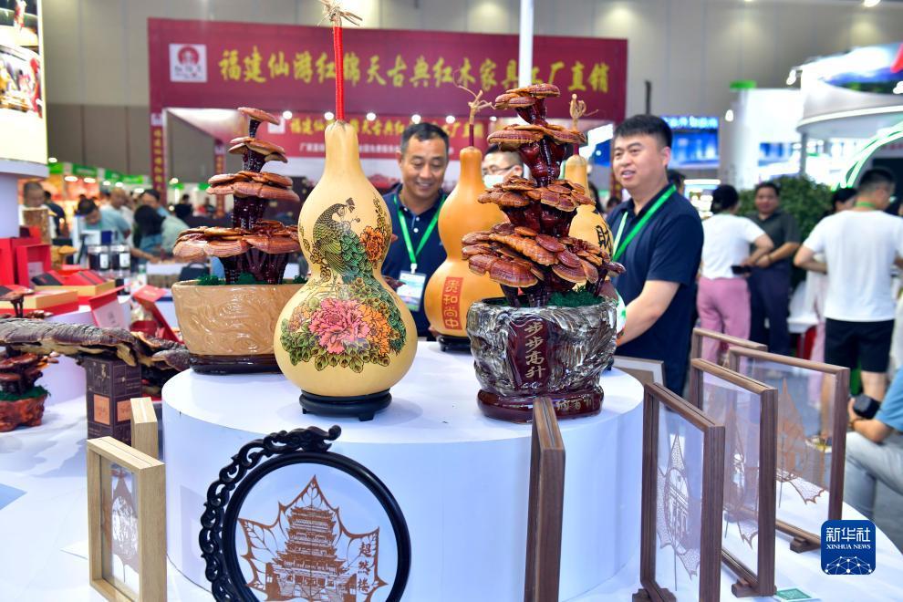 天9国际首页登录